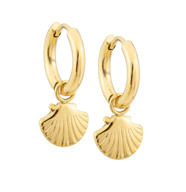 Shell earrings hoop gold