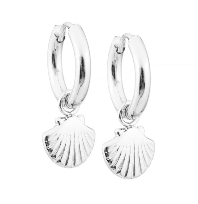 Shell earrings hoop steel