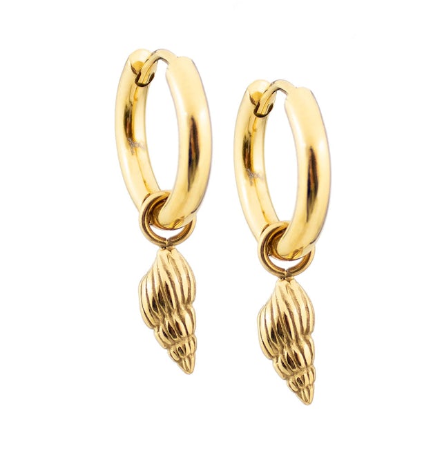 Conch shell earrings hoop gold