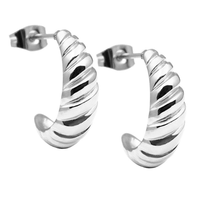 Leja earrings steel